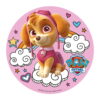 Dekora Kageprint med Paw Patrol - Skye, 20 cm