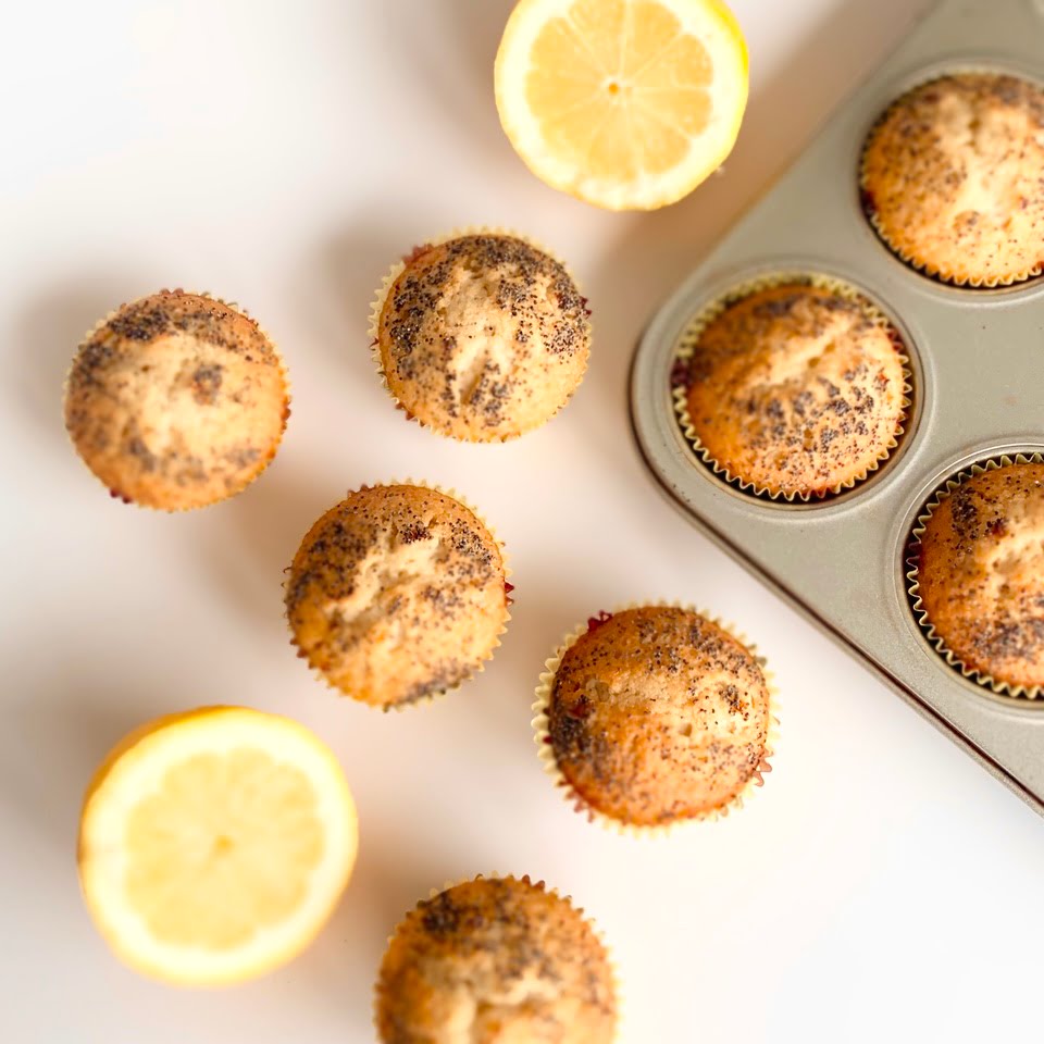 Citronmuffins med blaa birkes