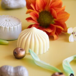 CW Chokoladeform MOCHI 2 - Polycarbonate - cf0258